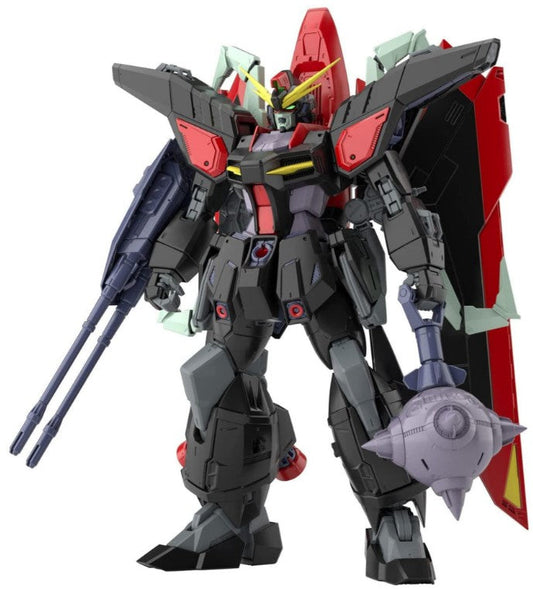 #02 Raider Gundam "Mobile Suit Gundam SEED"