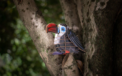 Voices of Nature, Red-Billed Toucan