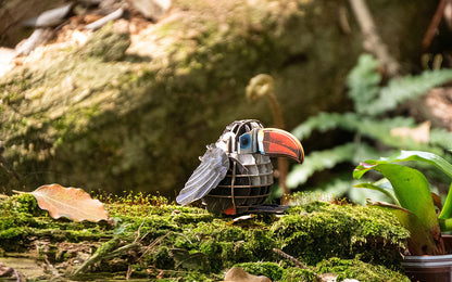 Voices of Nature, Red-Billed Toucan