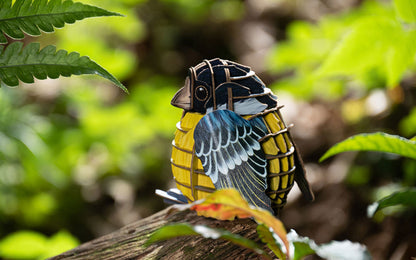 Voices of Nature, Yellow-Bellied Titmouse