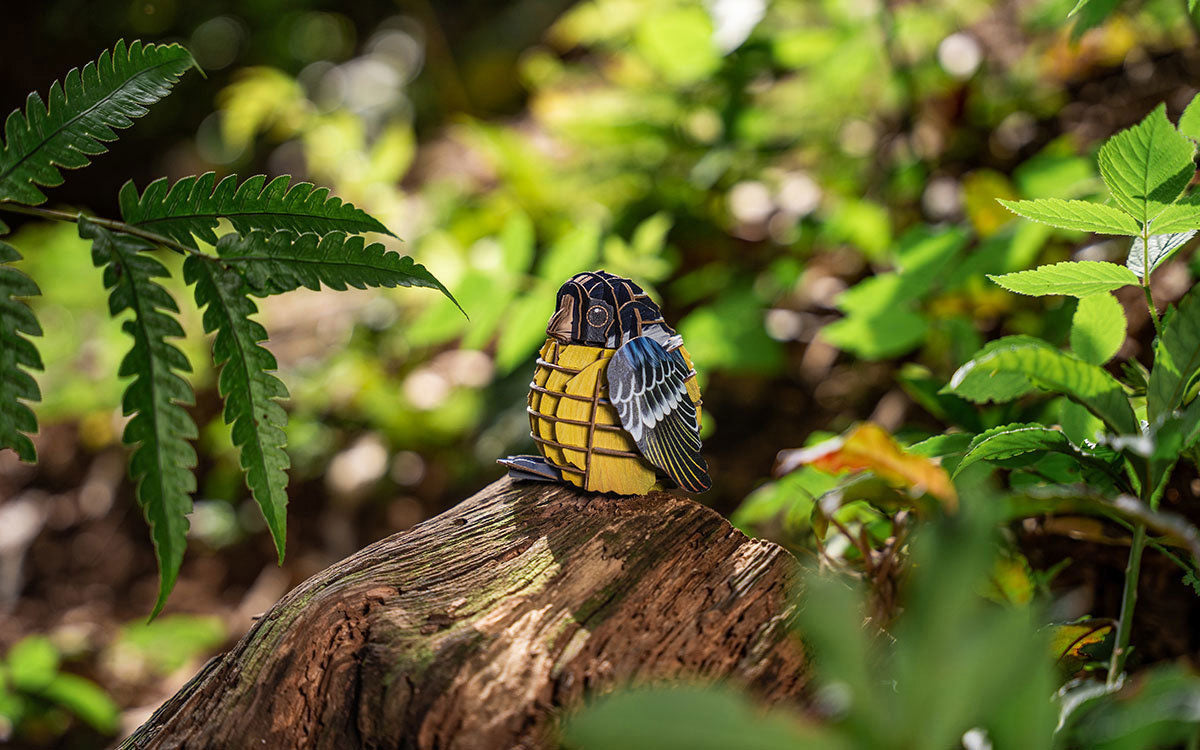 Voices of Nature, Yellow-Bellied Titmouse