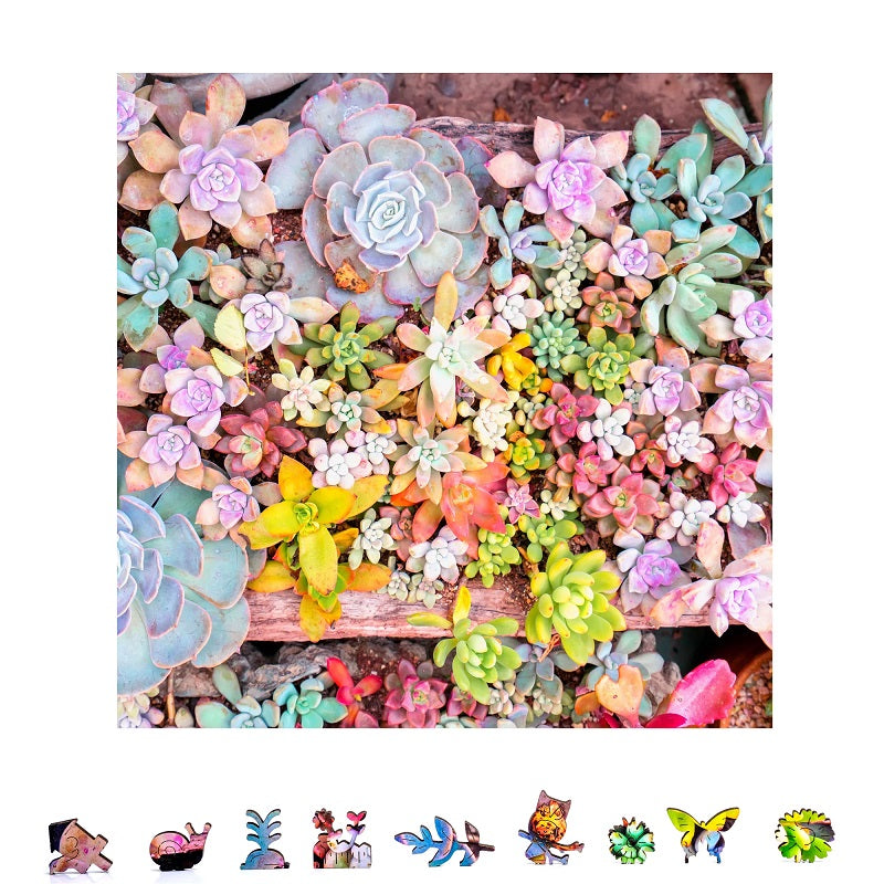 Garden Succulents Puzzle, 500 Pcs