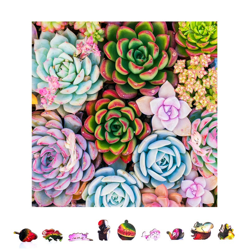 Succulent Sensation Wooden Puzzle, 500 Pcs